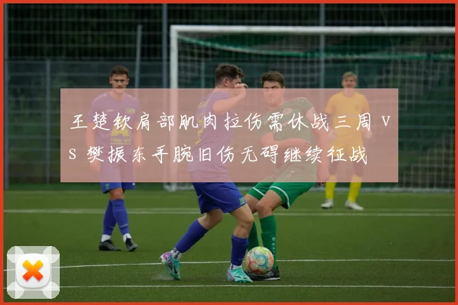 王楚钦肩部肌肉拉伤需休战三周 vs 樊振东手腕旧伤无碍继续征战